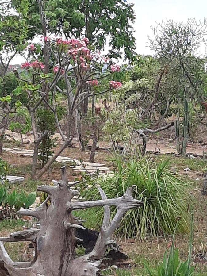 Estancia Morro Do Frota Pirenópolis Екстериор снимка