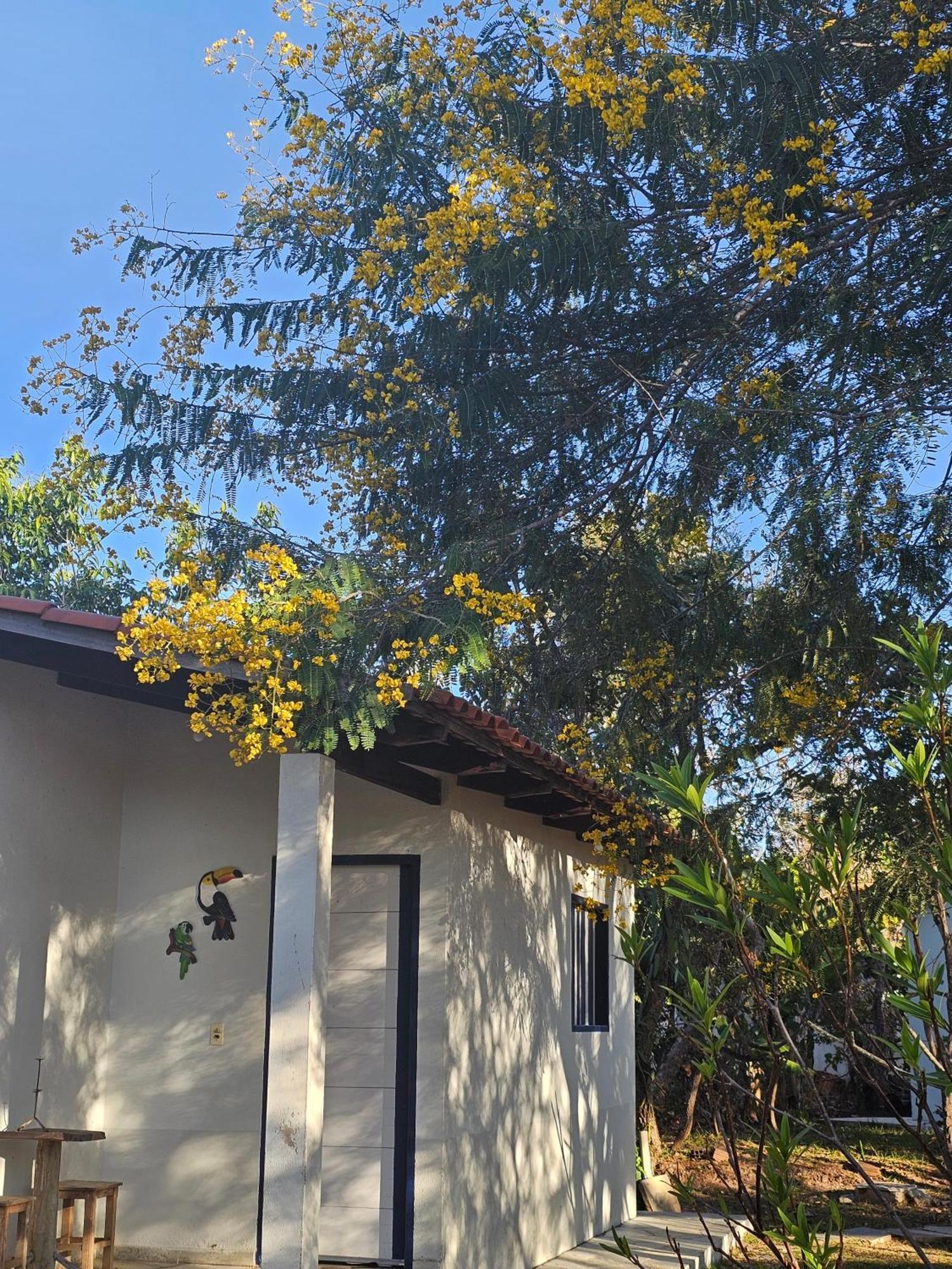 Estancia Morro Do Frota Pirenópolis Екстериор снимка